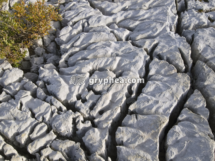 Lapiaz - détail - Parmelan (vue aérienne) - gryphea.org